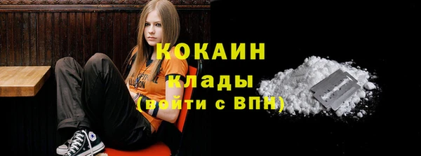прущие грибы Нефтекумск
