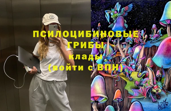 прущие грибы Нефтекумск