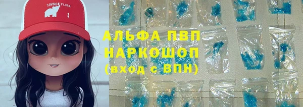 прущие грибы Нефтекумск