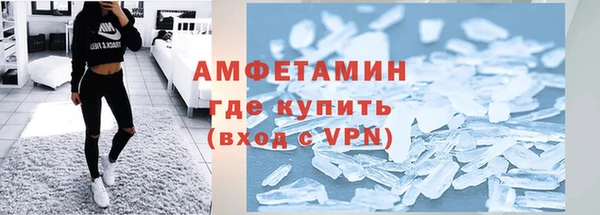 прущие грибы Нефтекумск
