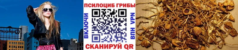 blacksprut ССЫЛКА  даркнет сайт  Чехов  Псилоцибиновые грибы Magic Shrooms 